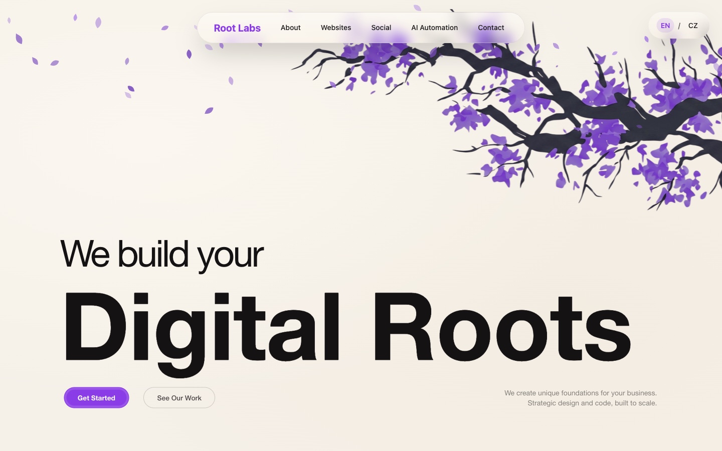 Web studia RootLabs